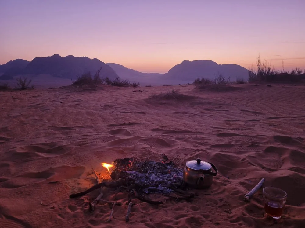 Camel Caravan Experience - Wadi Rum